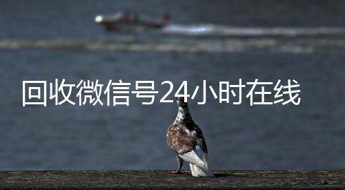 回收微信号24小回收微信秒结时在线秒结（回收微信号网站）